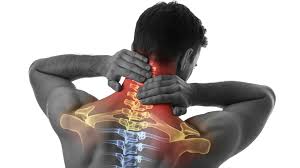 Man holding neck with digital illustration showing spine and shoulder pain areas highlighted in red.
